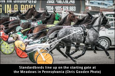 Racing Returns To The Meadows