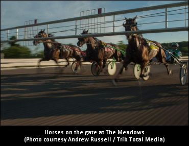 Meadows Increases Monday Guarantees