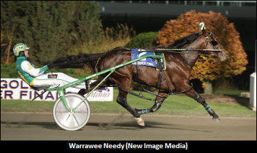 Warrawee Needy Surfaces At Mohawk