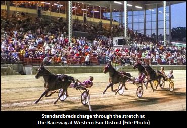 Western Fair Trainers Race Is Tight