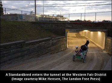 Western Fair Archaeological Dig Nears