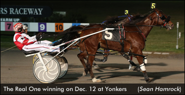 The Real One Repeats At Yonkers