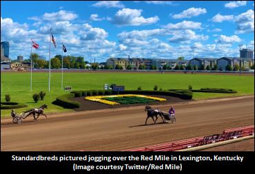 International Stallion Stakes Set For Fri.