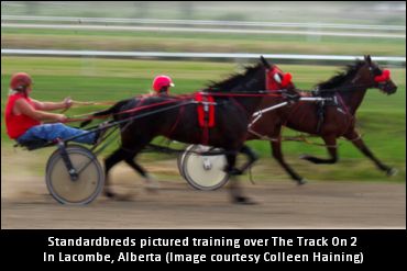 The Track On 2 Gearing Up For Meet