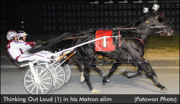 Matron Field Set For Glamour Boys