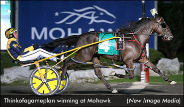 Grassroots Win Streaks Continue