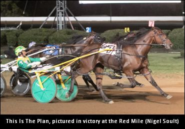 Ryder On His International Stallion Duo