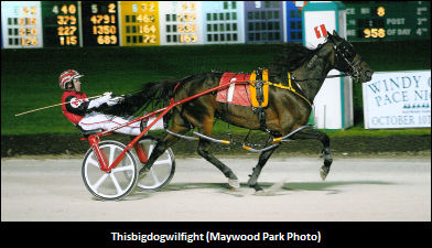 Egyptian Stakes Set For Friday 