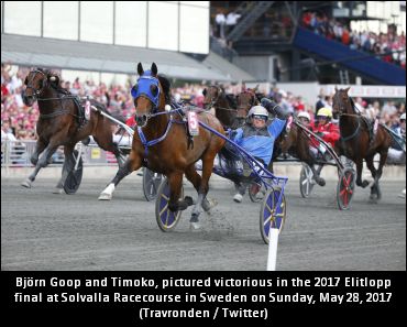 Timoko Captures Elitlopp Final