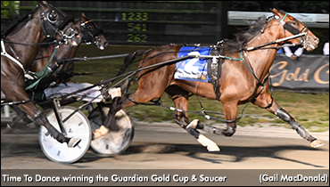 Time To Dance Takes Gold Cup & Saucer