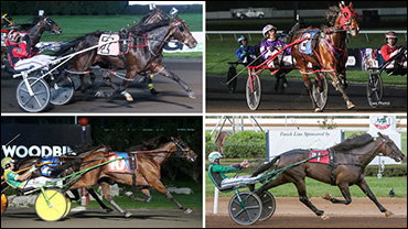 Four-Year-Old Stars Battle Sunday