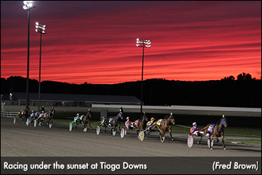 McWicked, Shartin To Tioga