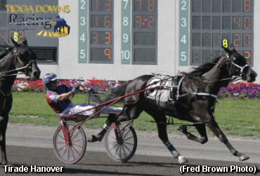 Favourites Denied In NYSS