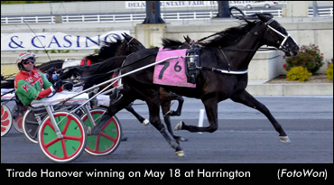 'Tirade' Triumphs In Open Trot