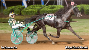 Trotting Fillies Impress In Bluegrass