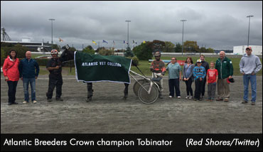 Atlantic Sires Stakes Wrap Up