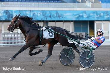 Rookie Trotters Grab Gold Rookie Trotters Grab Gold