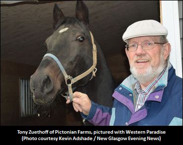 Industry Recognition Humbles Zuethoff