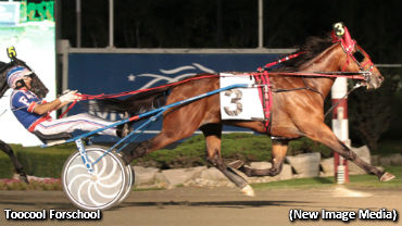 Veteran Owner Still On Cloud Nine