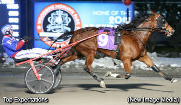 Top Trot To Top Expectations