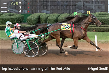 Owner's Top Expectations Fulfilled