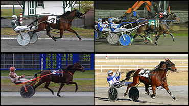 Canada's Winningest Horses Of 2021