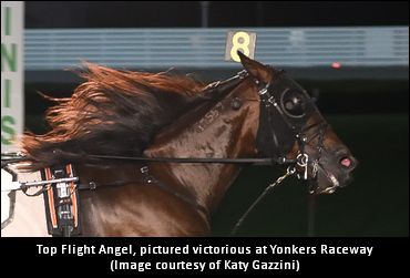 Top Flight Angel Looking To Soar