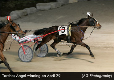 Mares In Preferred Spotlight