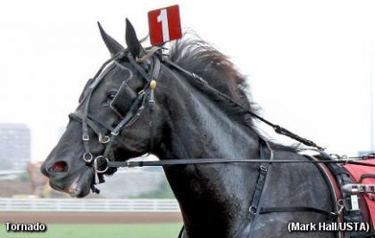 Swick's Tornado A Late Bloomer?