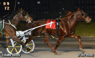 Totally Rusty Sets Filly Mark 