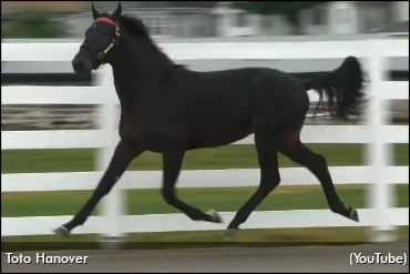 Racing's First Two-Year-Old Winner