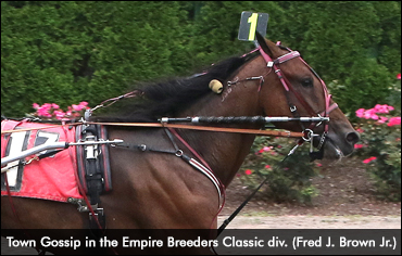 Sophomores Star In Empire Breeders