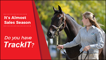 TrackIT A Must For Sales Season TrackIT A Must For Sales Season