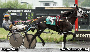 Seventeen Straight For Tracys Song