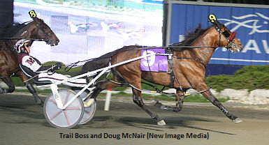 Trail Boss Euthanized