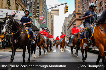 The Healing Power Of Horses