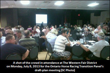 Report From Monday's Draft Plan Consultation