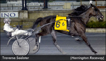 'Traverse' Wins In Harrington Return