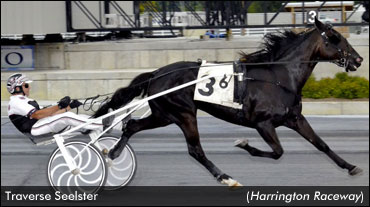 Traverse Seelster Sets Track Record