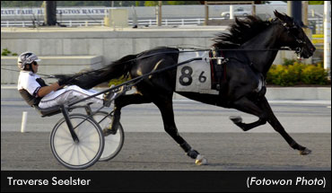 'Traverse' Sets New Harrington Record