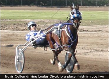 Yorkton Offers Mixed Bag Of Winners