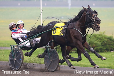 Another Preferred Win For Treasured Tee