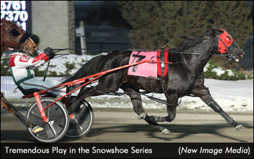 Snowshoe Series Begins
