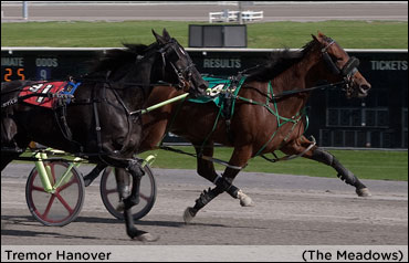 Tremor Hanover Shatters 20-Race Win Streak