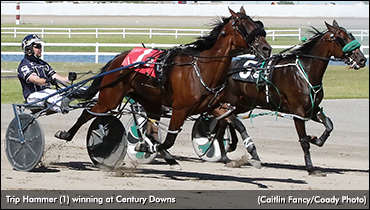 Trip Hammer Swiftest In Plainsman Elims