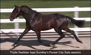 Forest City Sale Concludes