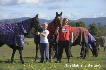 Racing Force To North America