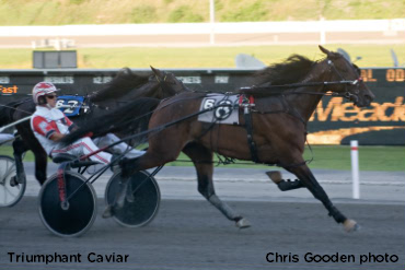 Ouellette Aims For Hambo Triumph With 'Caviar'