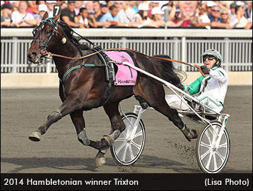 Trixton To Stand In Ontario