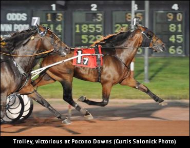 Miller’s Wild ‘Trolley’ Ride